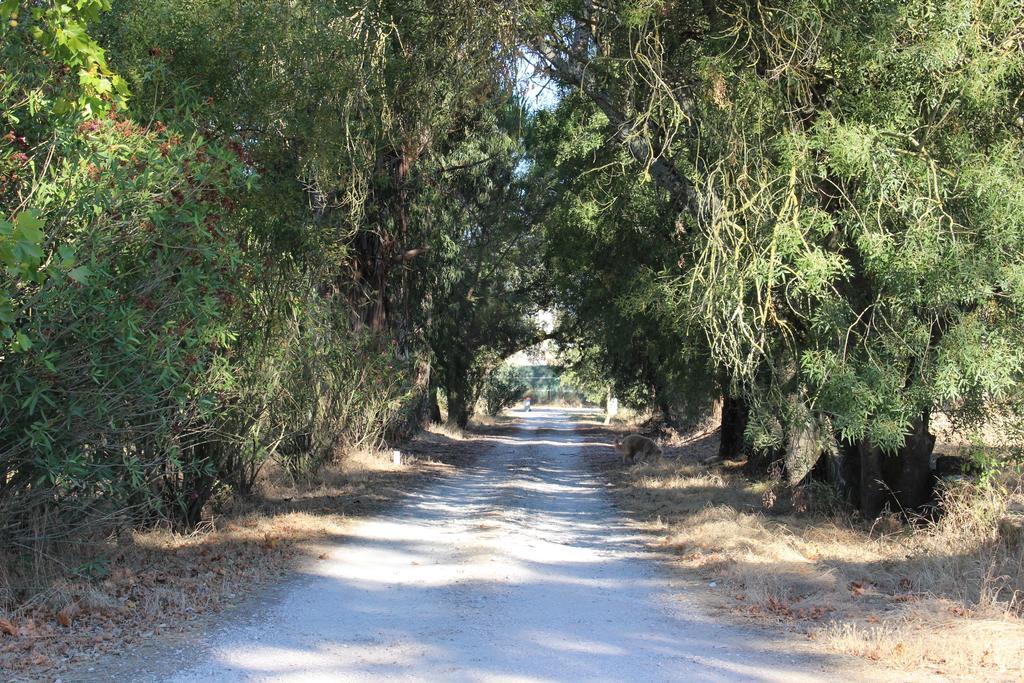 Quinta Do Valle Tomar Kültér fotó