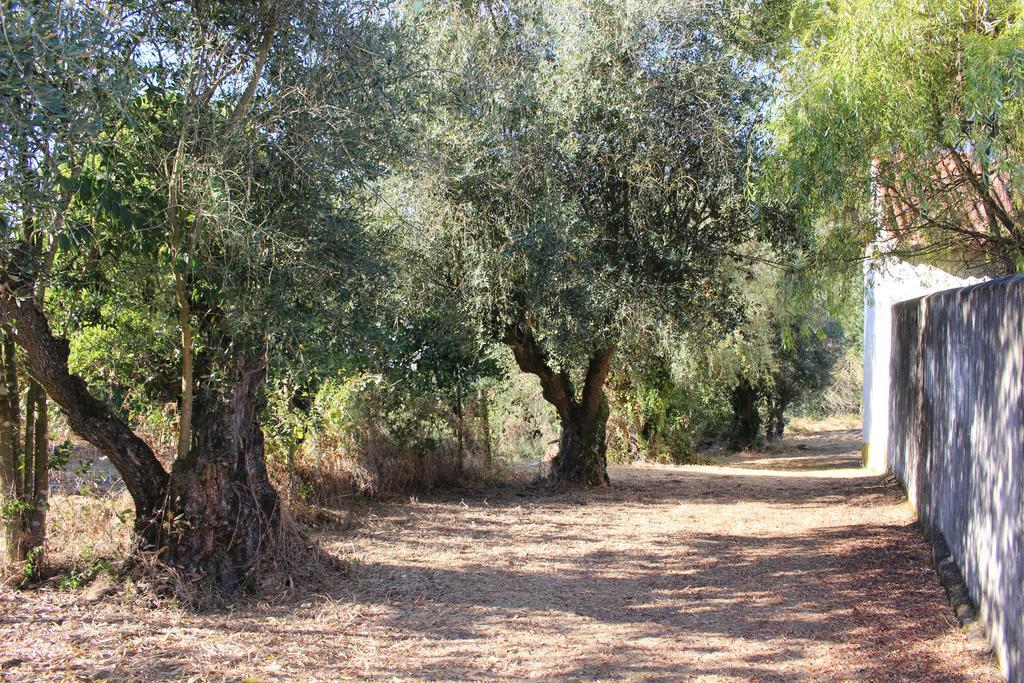 Quinta Do Valle Tomar Kültér fotó