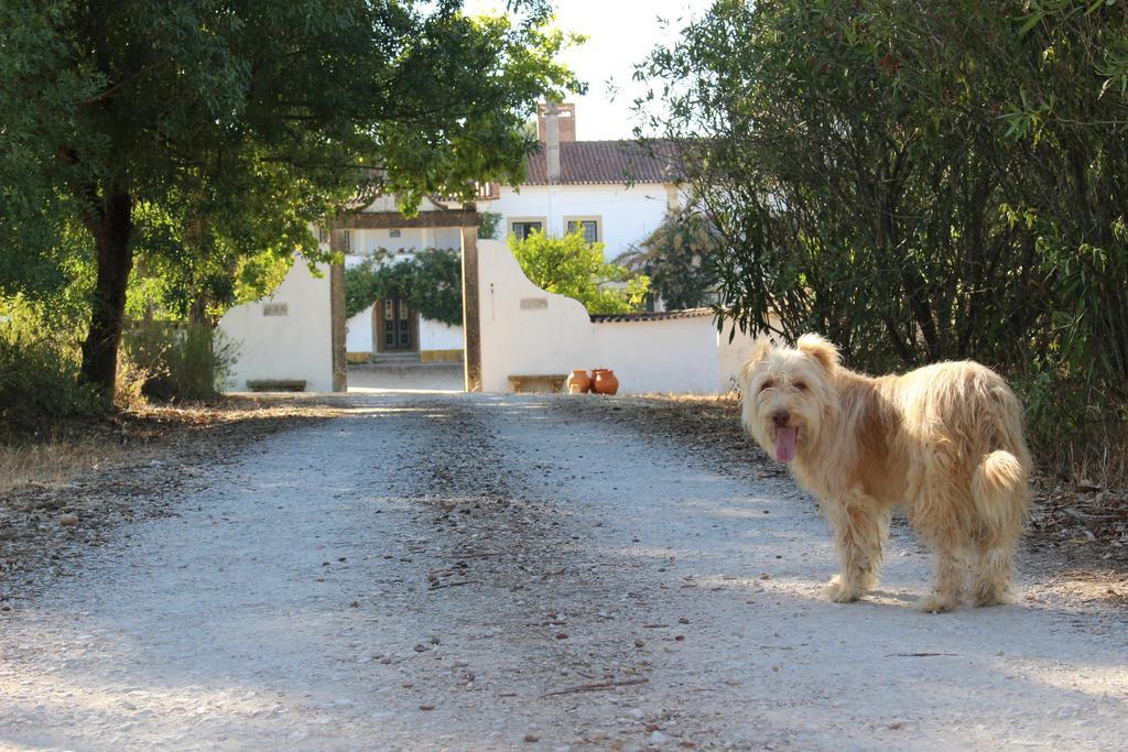 Quinta Do Valle Tomar Kültér fotó